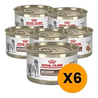 Pack 6 Latas Royal Canin Recovery 145 Gr 2