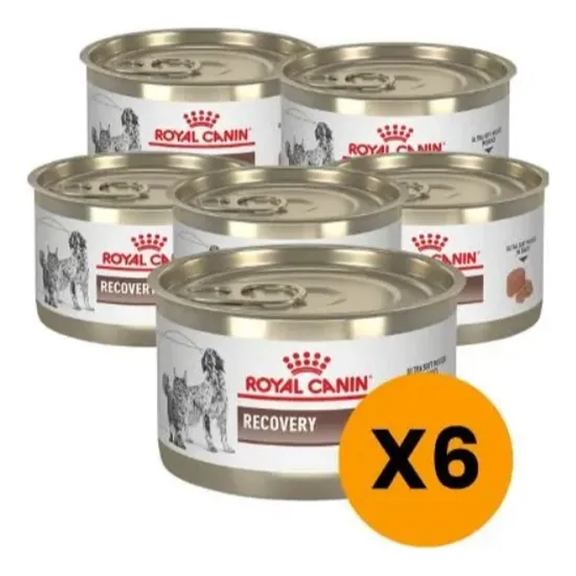 Pack 6 Latas Royal Canin Recovery 145 Gr