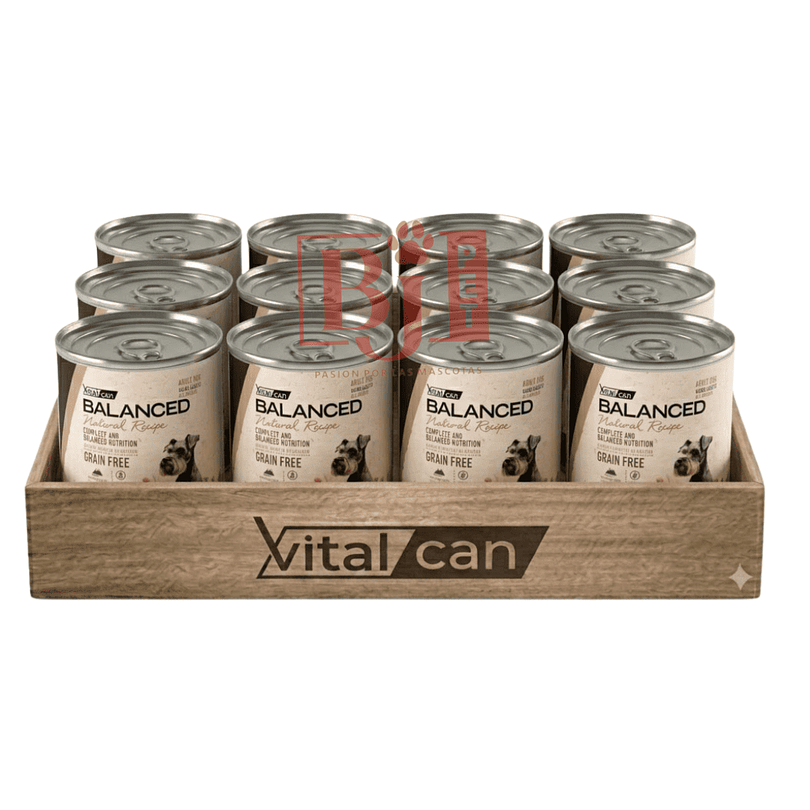 Pack 12 Latas Natural Recipe Filetes Cordero Perro Adulto 340 Gr 1