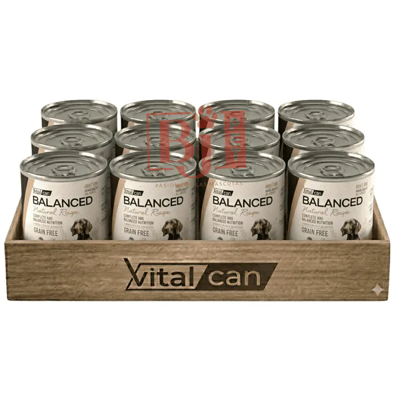 Pack 12 Latas Natural Recipe Filetes Salmón y Cordero Perro Adulto 340 Gr 1