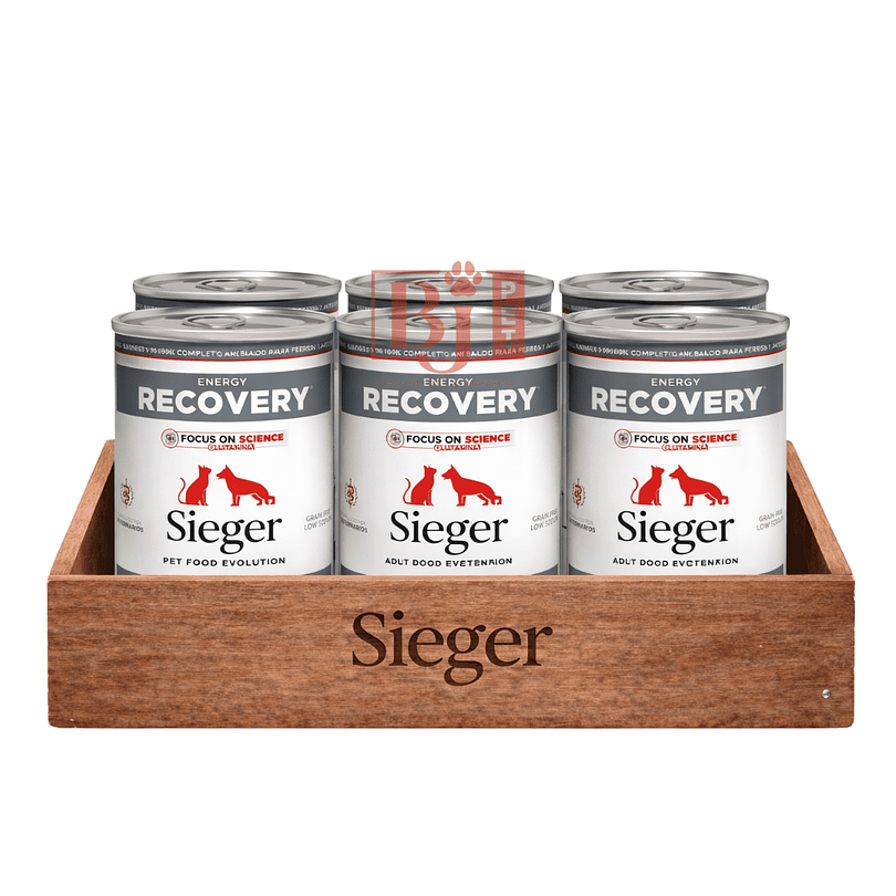 Pack 6 Latas Sieger Recovery Para Perros y Gatos 340 Gr 1