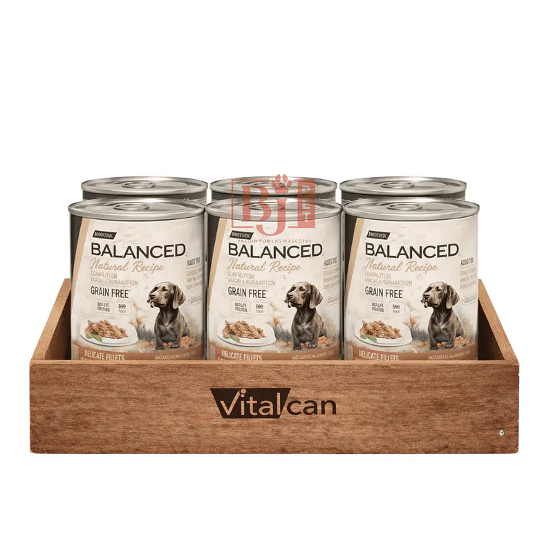 Pack 6 Latas Natural Recipe Filetes Salmón y Cordero Perro Adulto 340 Gr 1