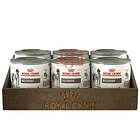 Pack 6 Latas Royal Canin Recovery 145 Gr 1