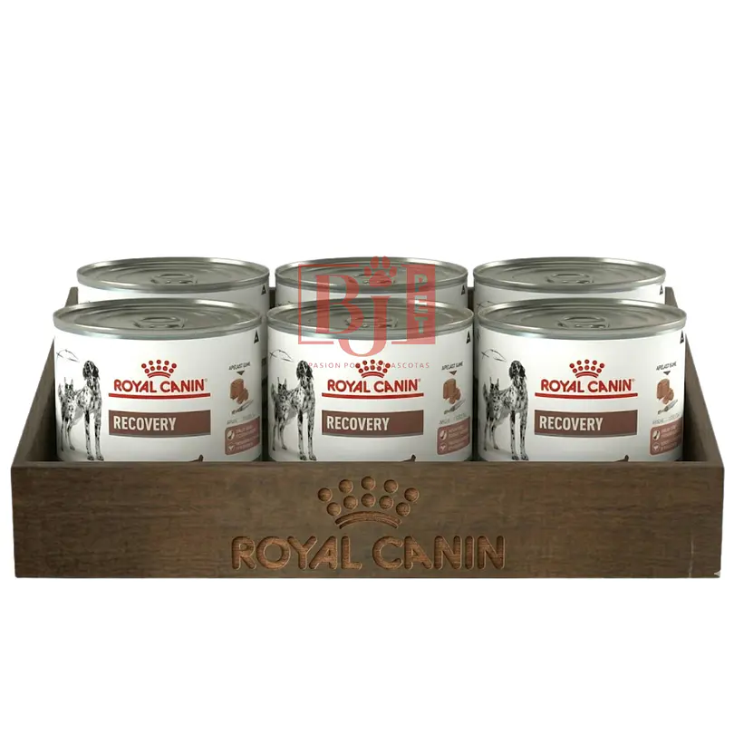 Pack 6 Latas Royal Canin Recovery 145 Gr 1