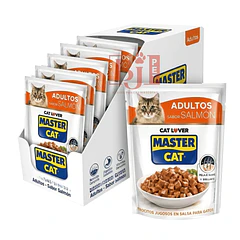 Alimento Húmedo Master Cat Salmon Display 20 U