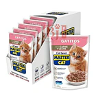 Alimento Húmedo Master Cat Display Gatitos Carne 20 U  1