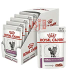Royal Canin  Renal Chicken Feline 85 grs Pack 12 Und 1