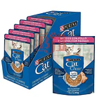 Pack 15 Pouch Cat Chow Gatitos Pollo 85 Gr 1
