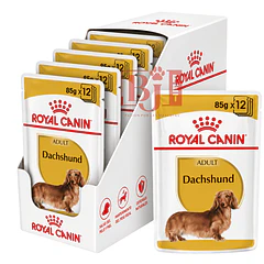 Royal Canin Dachshund Pouch 85 Gr Pack 12 Und