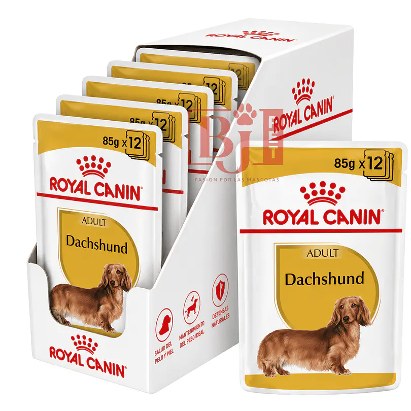 Royal Canin Dachshund Pouch 85 Gr Pack 12 Und 1