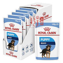 Royal Canin Maxi Puppy Pouch 140 Gr Pack 10 Und