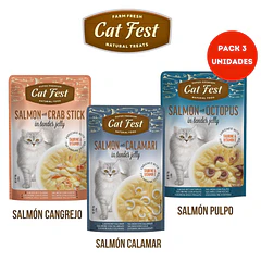 Pack Cat Fest Sabores Salmon 3 Pouch
