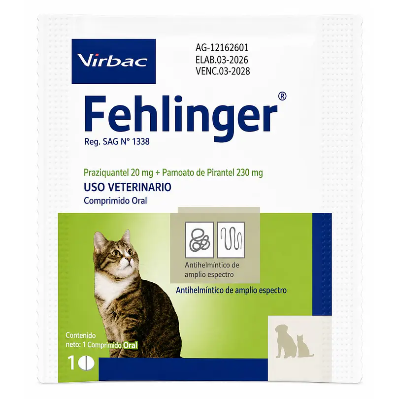 Fehlinger 1 U 1 Comp.  1