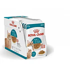 Royal Canin Ageing 11+ Felino 85 gr Pouch Pack 12 Und 1