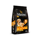 Maxine Perro Cachorro 21 Kg 1