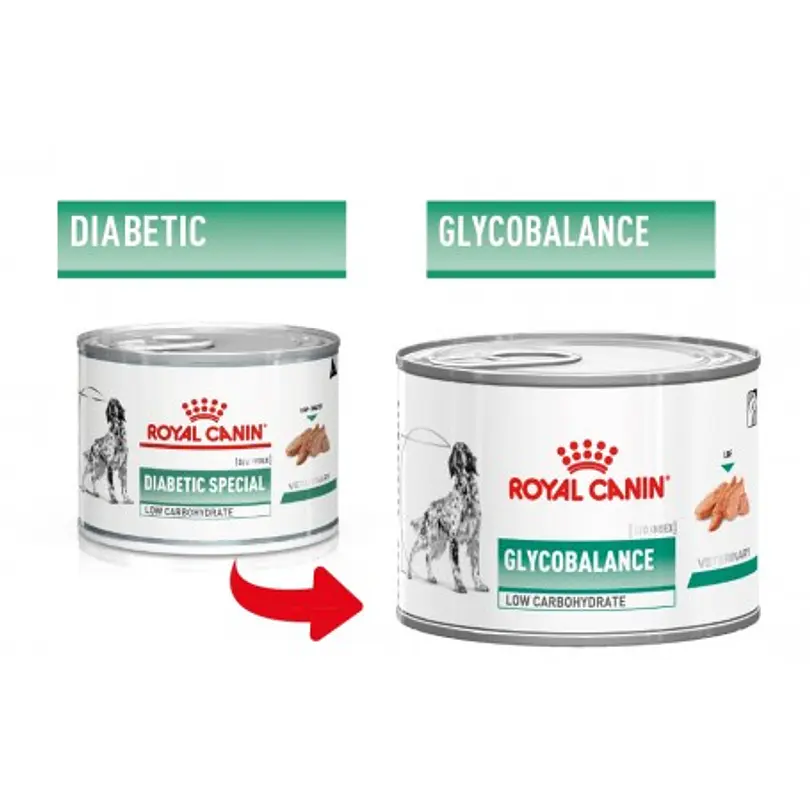Royal Canin GlycoBalance (Ex Diabetic) 195 Gr 1
