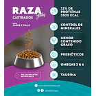 Raza Gato Castrado 10 Kg 2