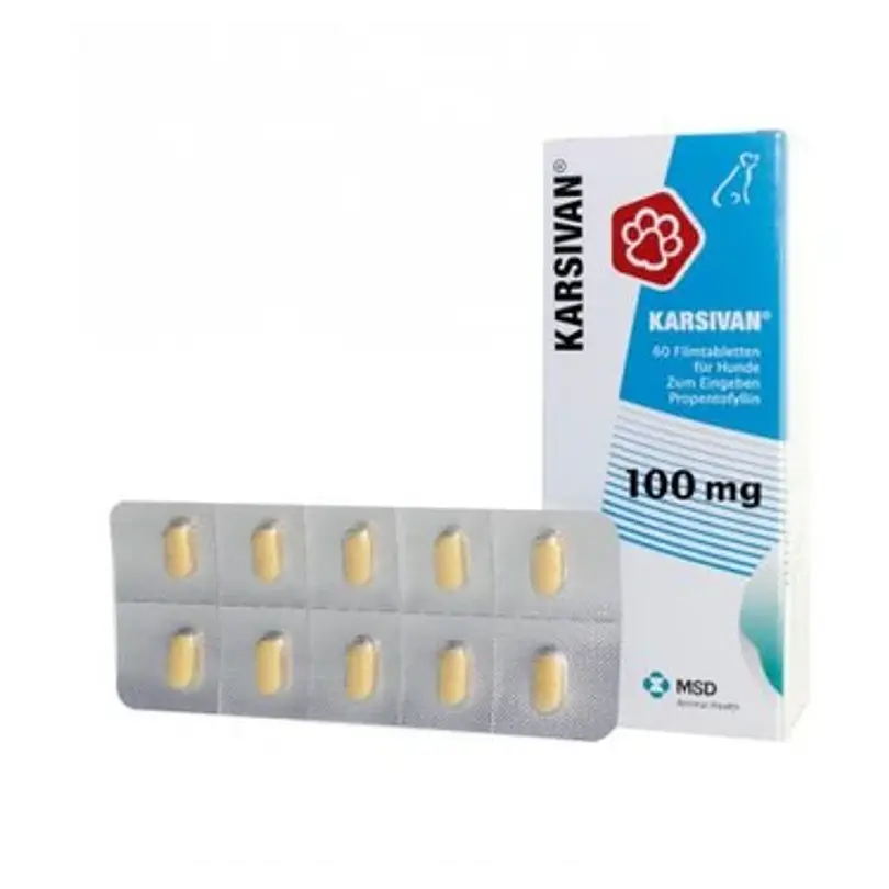 Karsivan 100 Mg 60 Comprimidos