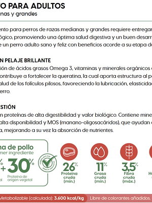 Animal Planet Adulto Raza Mediana y Grande 20KG