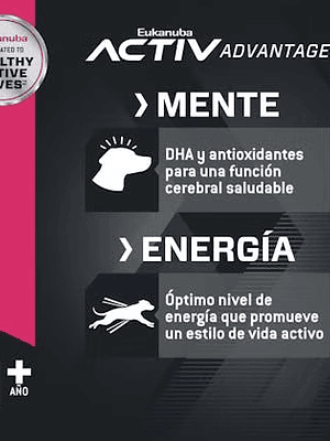 Eukanuba Large Breed 15 Kg