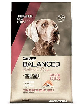 Vitalcan Balanced Natural Recipe Salmon 15 Kg