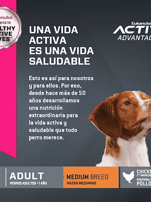 Eukanuba Medium Breed 15 kg