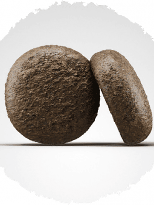 Josera Festival 12,5 Kg 