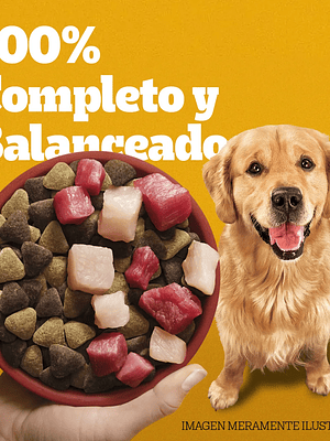 Pedigree Complete Nutrition 21 Kg