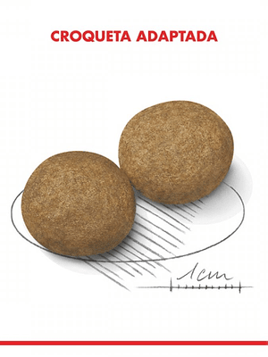 Royal Canin Medium Adulto 2,5 kg