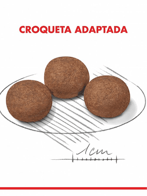 Royal Canin Puppy Filhotes Medium 2,5 kg