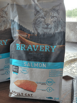 Bravery Salmon Gato 2 kgs