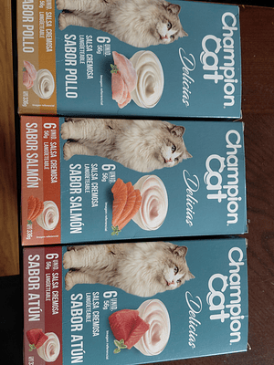 Champion Cat Delicias cremosas Distintos Sabores