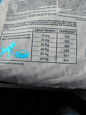 Bravery Salmon Perro Adulto 