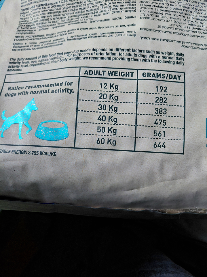 Bravery Salmon Perro Adulto  2