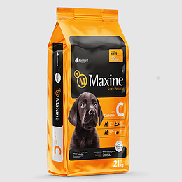 Maxine Cachorro 21kg