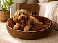 Cama Circular Café Polar para Perro – Talla L - Miniatura 1