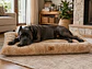 Cama XL Acolchada Beige para Perro Grande  - Miniatura 1