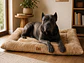 Cama XL Acolchada Beige para Perro Grande  - Miniatura 3