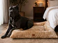 Cama XL Acolchada Beige para Perro Grande  - Miniatura 5