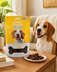 Snack Premium Kiwi Envuelto en Pollo para Perros 100 g - Miniatura 1