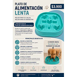 Comedero lento calipso
