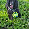 Pelota interactiva