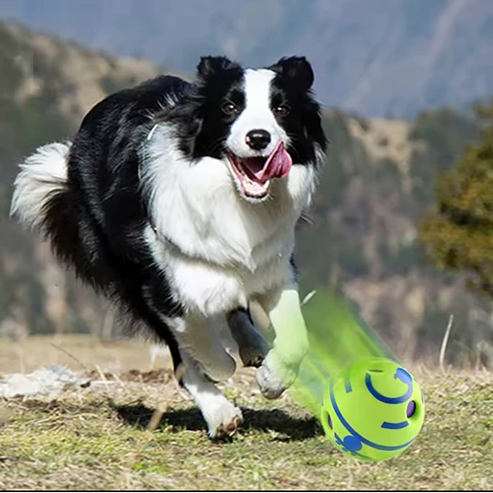 Pelota interactiva