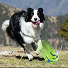 Pelota interactiva