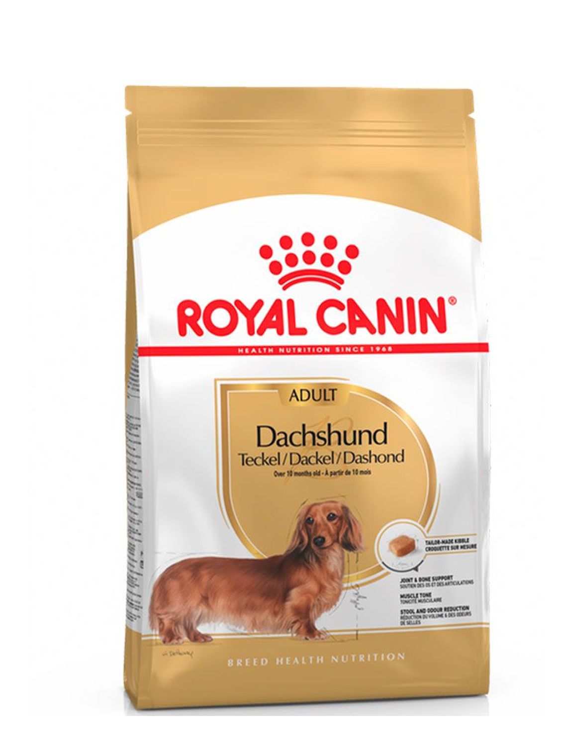 Royal Canin Dachshund Adulto 1