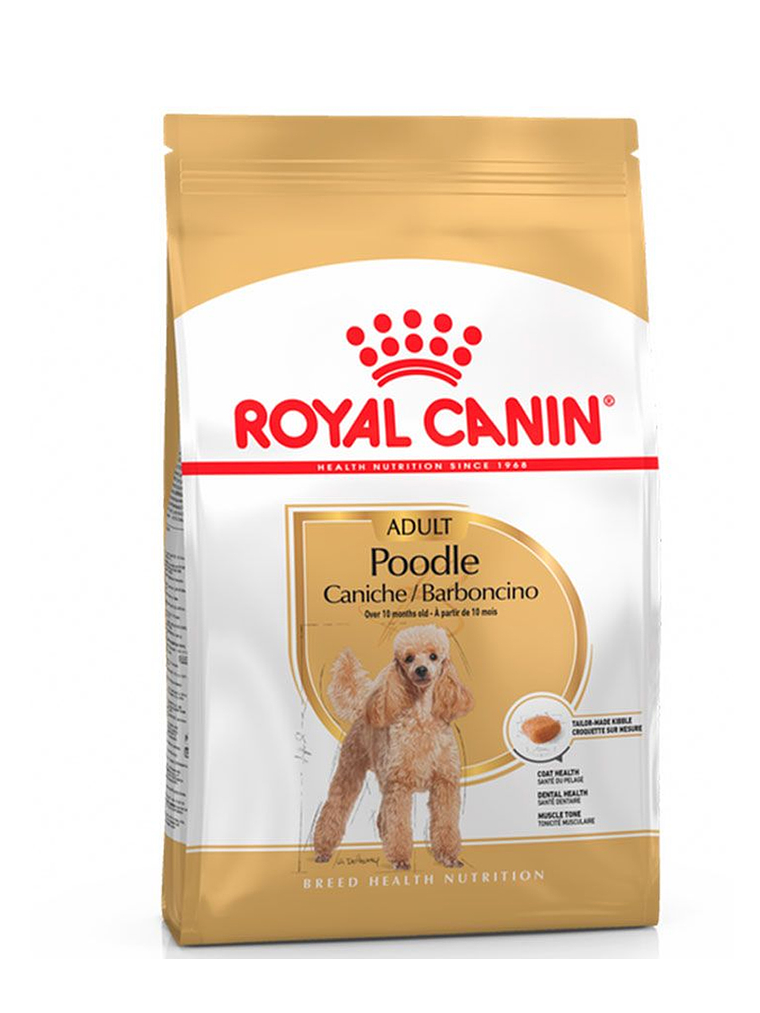Royal Canin Poodle Adulto 1