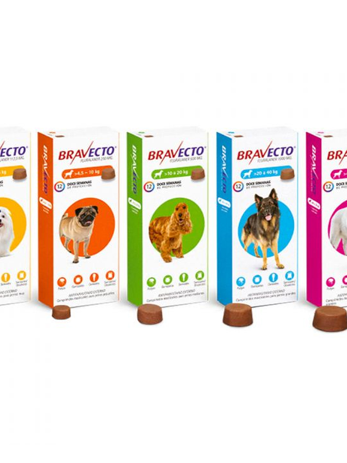 Bravecto Antiparasitario 1 comprimido Masticable Perros 1