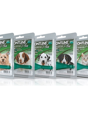 Frontline Plus Pipeta Antipulgas y Antigarrapatas