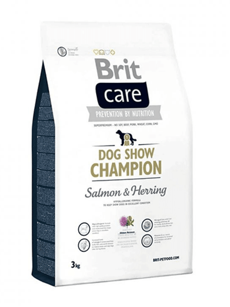 Brit Care Dog Show Champion  1
