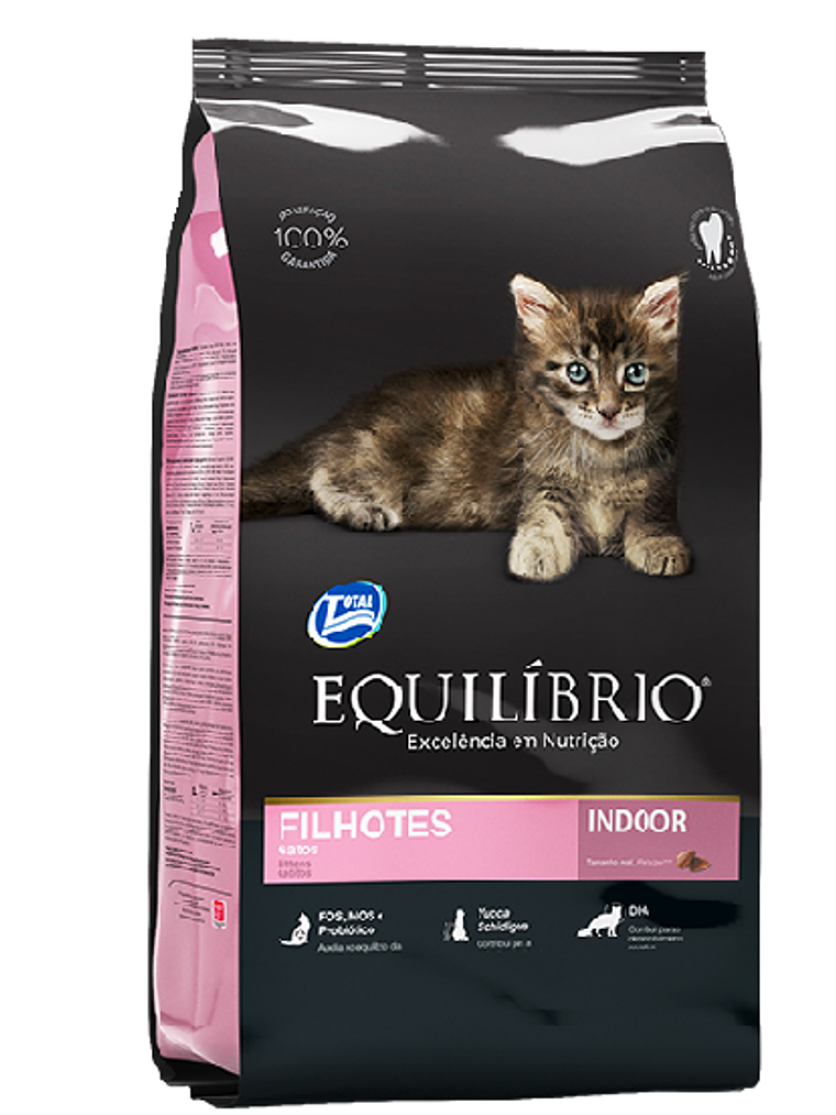 Equilibrio gatitos - Filhotes  1